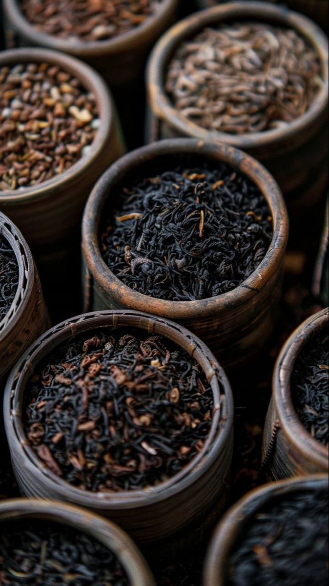 whatsapp image 2026 03 15 at 4.33.16 pm (3)